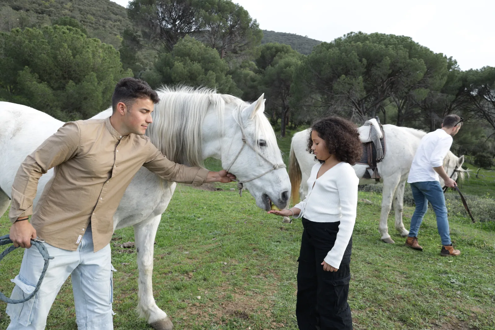 Visitantes alimentan y acarician un caballo blanco en un prado de Finca El Sarao