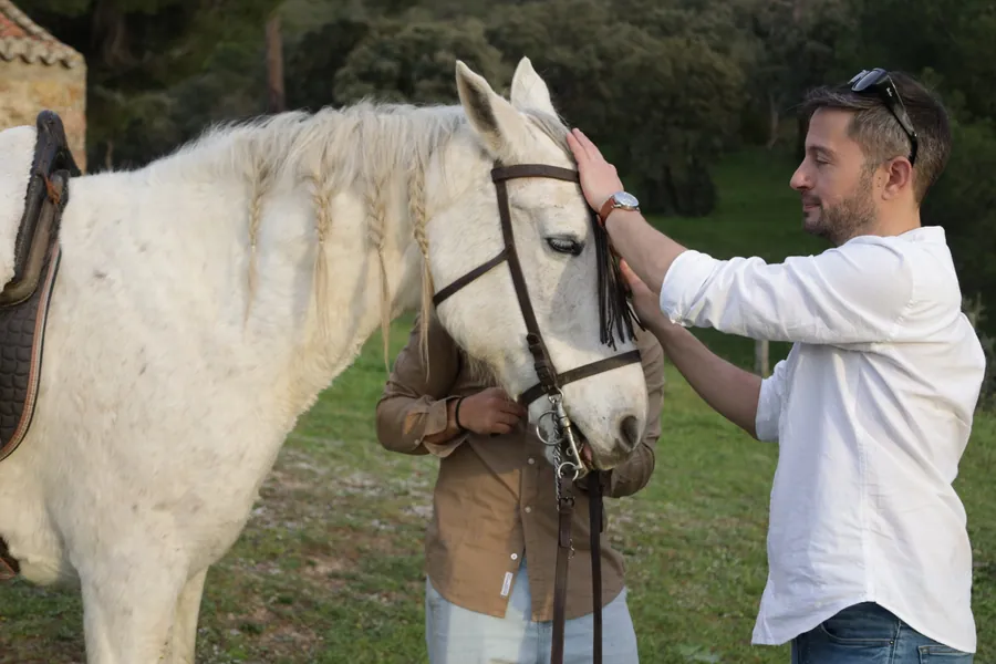 Una persona acaricia la frente de un caballo blanco ensillado en Finca El Sarao